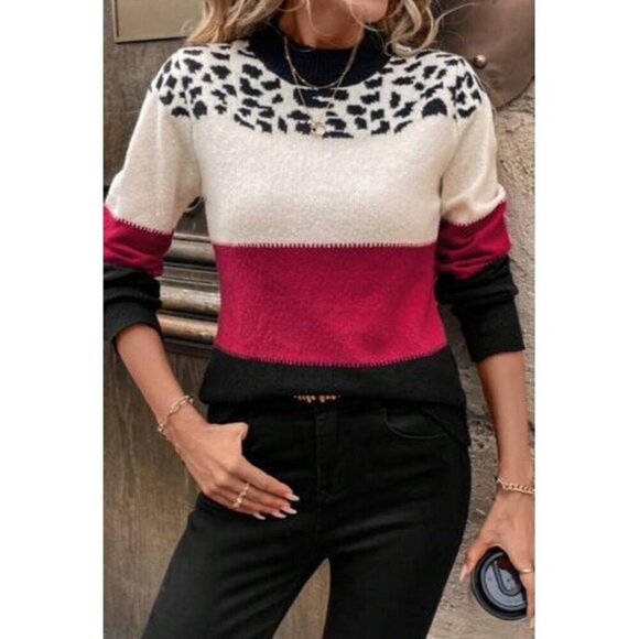 Casual Leopard Print Multicolor Pullovers - Picture 2 of 5